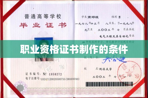 龙陵职业资格证书制作的条件