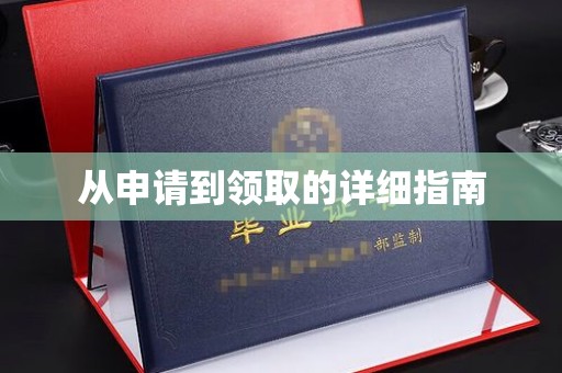 龙陵从申请到领取的详细指南