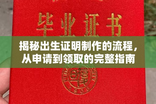 龙陵揭秘出生证明制作的流程，从申请到领取的完整指南