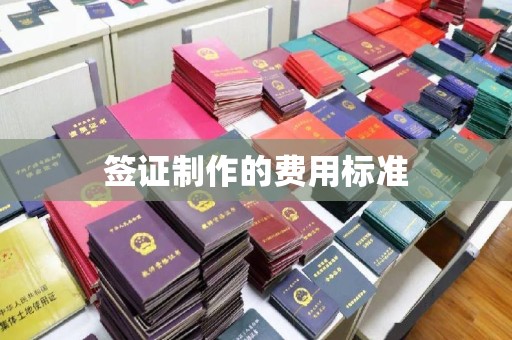 龙陵签证制作的费用标准