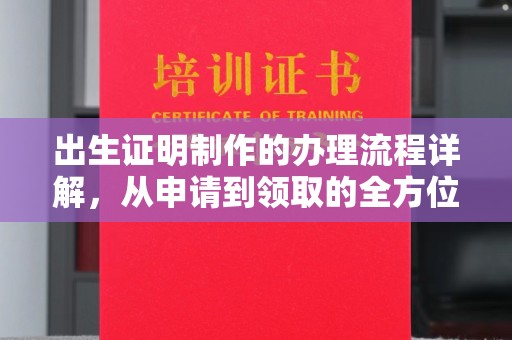 龙陵出生证明制作的办理流程详解，从申请到领取的全方位指南
