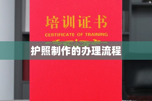 龙陵护照制作的办理流程